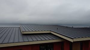 Best Rubber Roofing (EPDM, TPO)  in Waunakee, WI